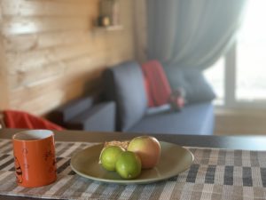 Московская область, Волоколамский городской округ, с. Ильинское, переулок Молодежный — фото 9