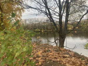 1-комнатная квартира 24 м² в ЖК «Мякинино парк», Москва — фото 5