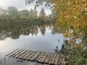 1-комнатная квартира 24 м² в ЖК «Мякинино парк», Москва — фото 7