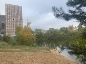 1-комнатная квартира 24 м² в ЖК «Мякинино парк», Москва — фото 11