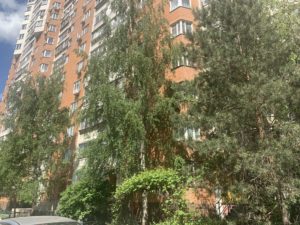 Москва,ул Поречная д 31к1 — фото 1
